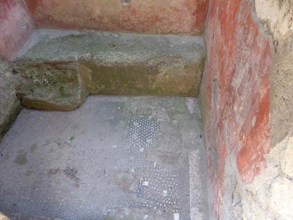VI.9 Herculaneum, October 2014. Looking towards west wall. Photo courtesy of Michael Binns.